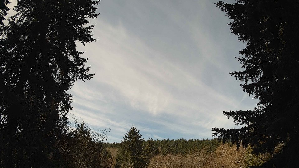 Pacific Northwest skyline timelapse on Apr 8th, 2026 at 10:45 AM