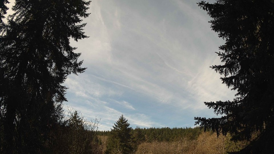 Pacific Northwest skyline timelapse on Apr 8th, 2026 at 11:00 AM