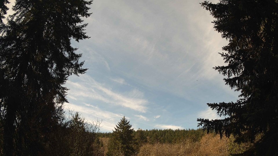 Pacific Northwest skyline timelapse on Apr 8th, 2026 at 11:15 AM