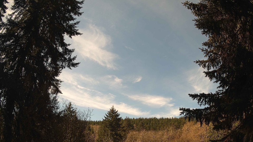 Pacific Northwest skyline timelapse on Apr 8th, 2026 at 11:30 AM