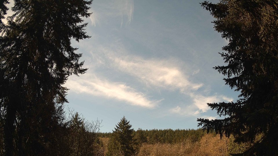 Pacific Northwest skyline timelapse on Apr 8th, 2026 at 11:45 AM