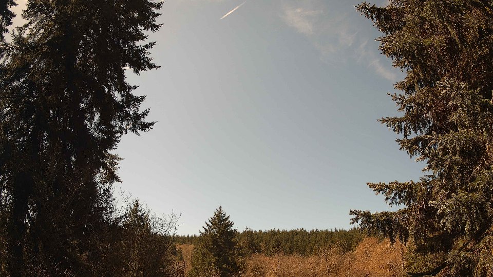 Pacific Northwest skyline timelapse on Apr 8th, 2026 at 12:15 PM