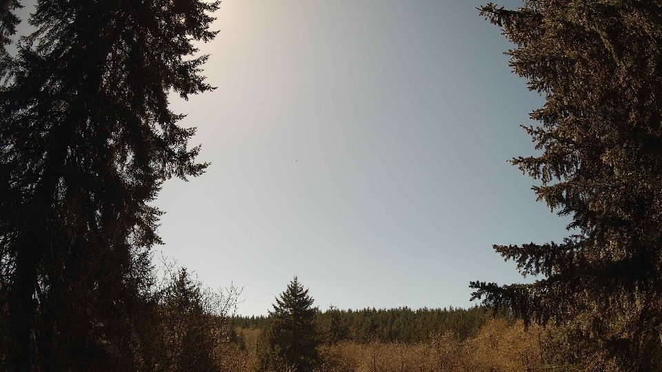 Pacific Northwest skyline timelapse on Apr 8th, 2026 at 1:45 PM