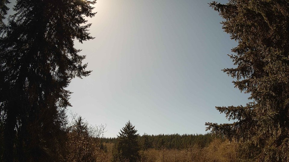 Pacific Northwest skyline timelapse on Apr 8th, 2026 at 2:00 PM