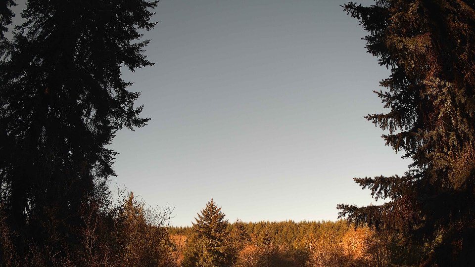 Pacific Northwest skyline timelapse frame from Apr 9th, 2026 at 8:00 AM