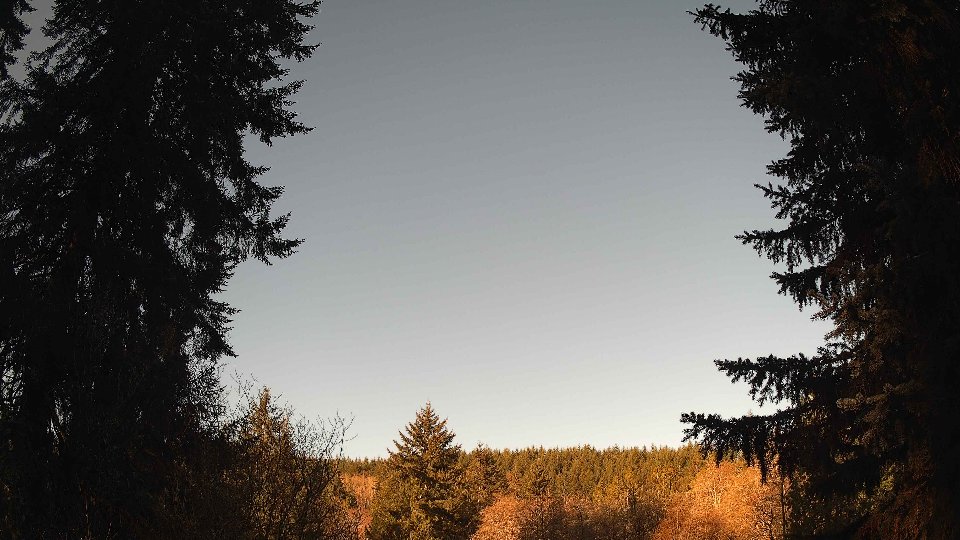 Pacific Northwest skyline timelapse frame from Apr 9th, 2026 at 8:15 AM