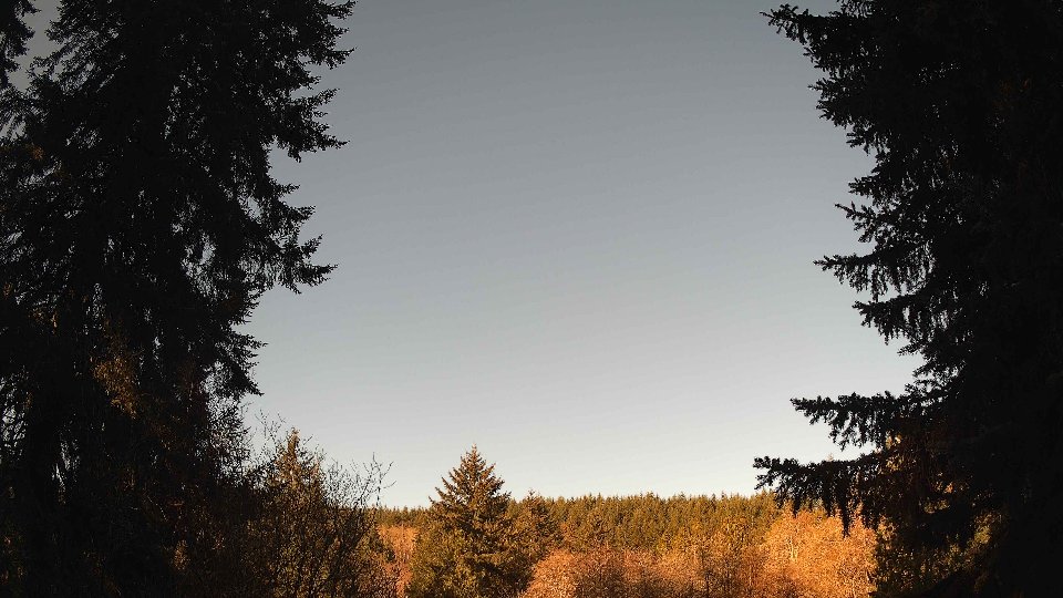 Pacific Northwest skyline timelapse frame from Apr 9th, 2026 at 8:30 AM