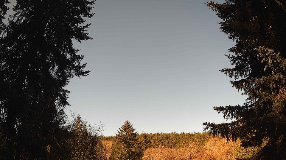 Pacific Northwest skyline timelapse frame from Apr 9th, 2026 at 9:15 AM