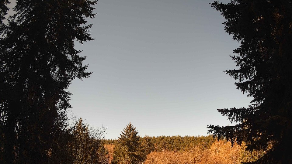 Pacific Northwest skyline timelapse frame from Apr 9th, 2026 at 9:45 AM