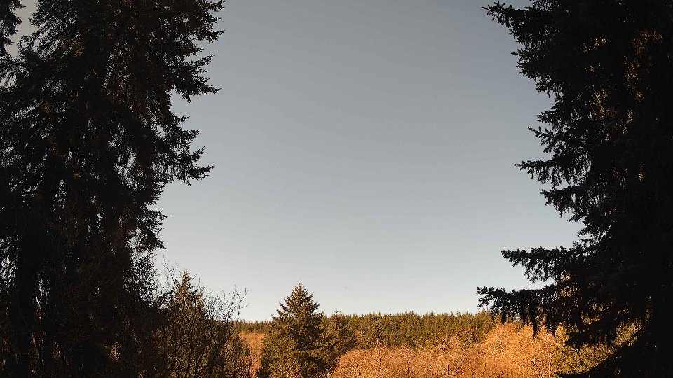 Pacific Northwest skyline timelapse frame from Apr 9th, 2026 at 10:15 AM