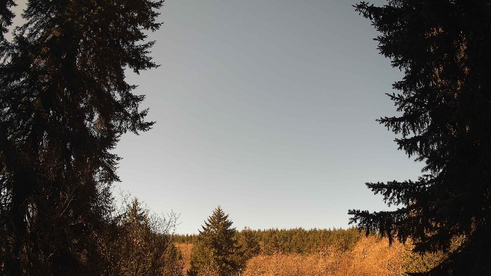 Pacific Northwest skyline timelapse frame from Apr 9th, 2026 at 10:45 AM