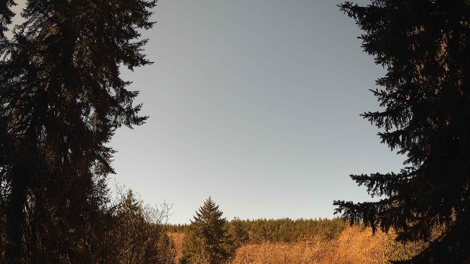 Pacific Northwest skyline timelapse frame from Apr 9th, 2026 at 11:00 AM