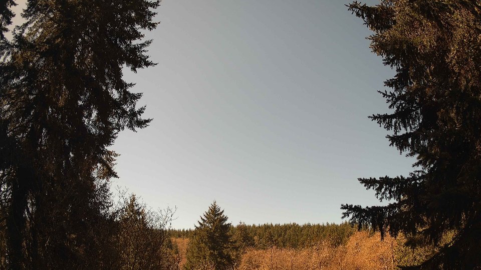Pacific Northwest skyline timelapse frame from Apr 9th, 2026 at 11:45 AM