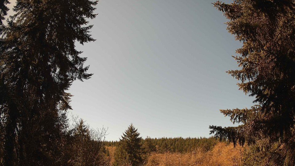 Pacific Northwest skyline timelapse frame from Apr 9th, 2026 at 12:00 PM