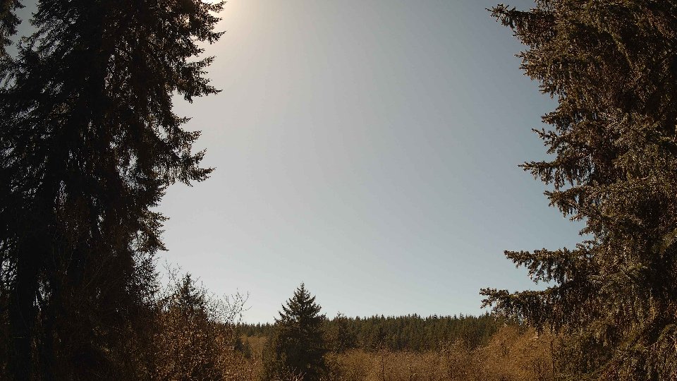 Pacific Northwest skyline timelapse frame from Apr 9th, 2026 at 2:00 PM