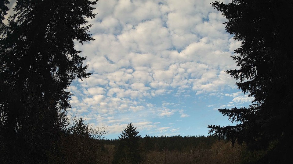 Pacific Northwest skyline timelapse frame from Apr 10th, 2026 at 8:00 AM