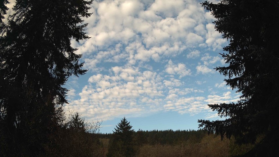 Pacific Northwest skyline timelapse frame from Apr 10th, 2026 at 8:15 AM