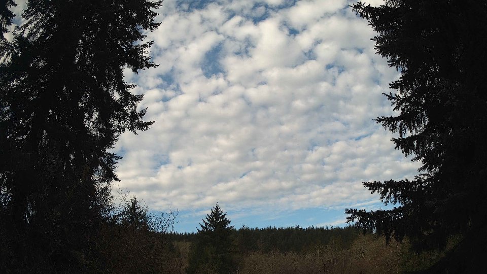 Pacific Northwest skyline timelapse frame from Apr 10th, 2026 at 8:30 AM