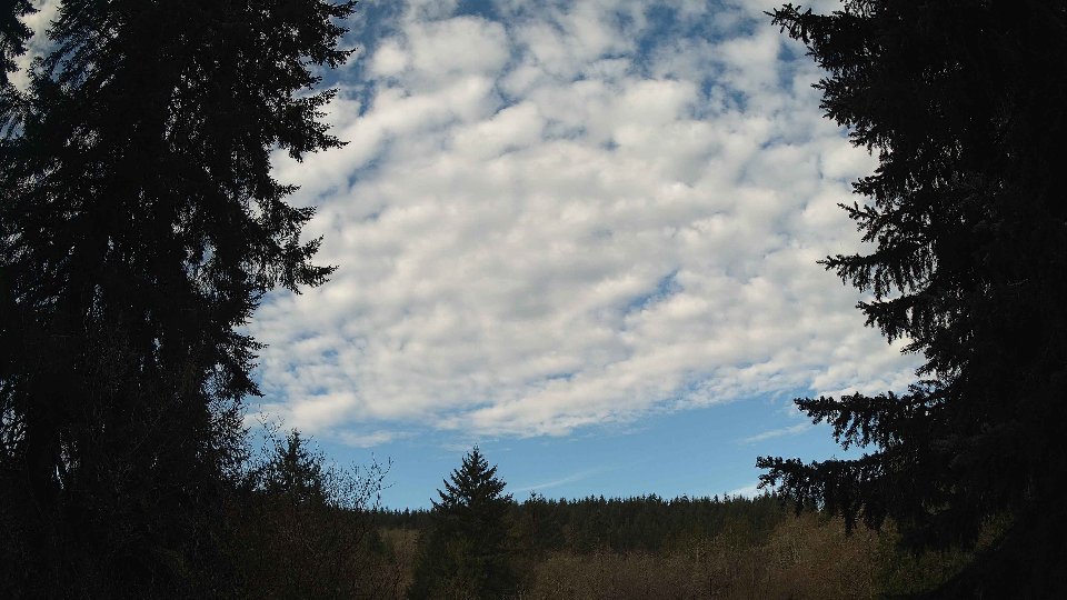 Pacific Northwest skyline timelapse frame from Apr 10th, 2026 at 8:45 AM