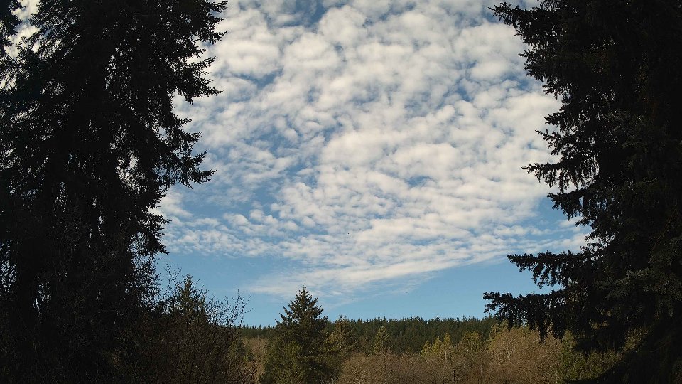 Pacific Northwest skyline timelapse frame from Apr 10th, 2026 at 9:30 AM