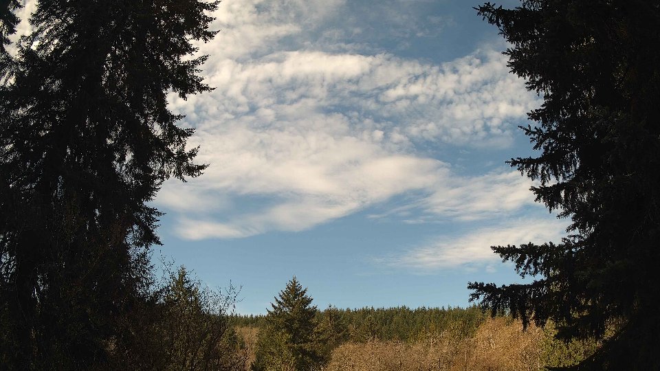 Pacific Northwest skyline timelapse frame from Apr 10th, 2026 at 9:45 AM