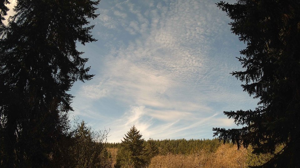 Pacific Northwest skyline timelapse frame from Apr 10th, 2026 at 10:15 AM