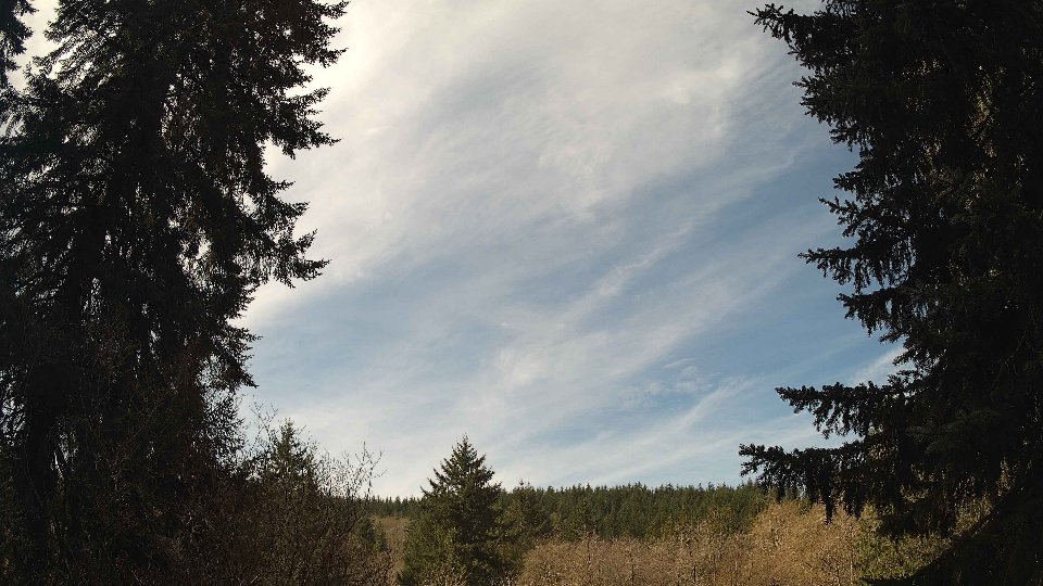 Pacific Northwest skyline timelapse frame from Apr 10th, 2026 at 11:00 AM