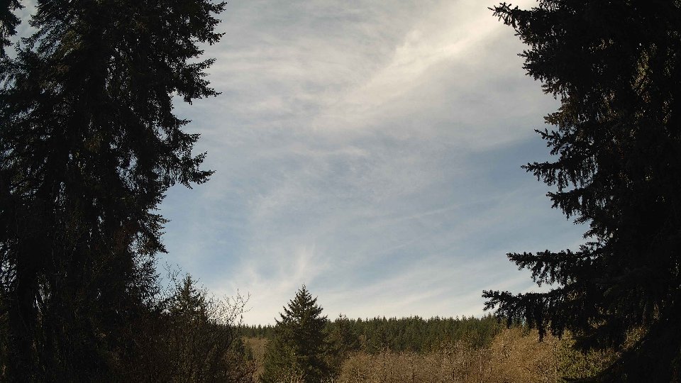 Pacific Northwest skyline timelapse frame from Apr 10th, 2026 at 11:15 AM