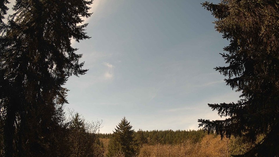 Pacific Northwest skyline timelapse frame from Apr 10th, 2026 at 11:45 AM