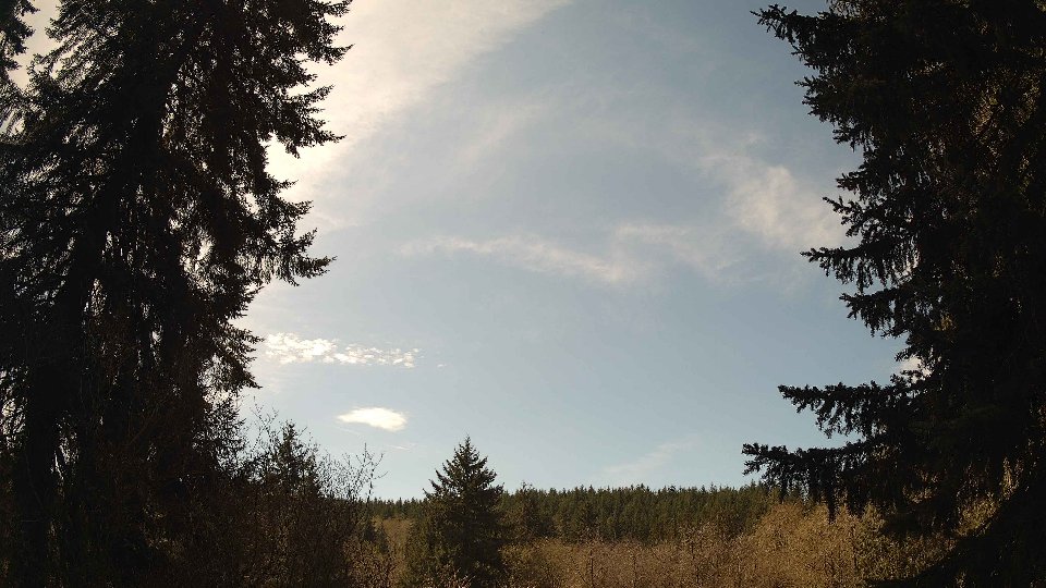 Pacific Northwest skyline timelapse frame from Apr 10th, 2026 at 1:15 PM