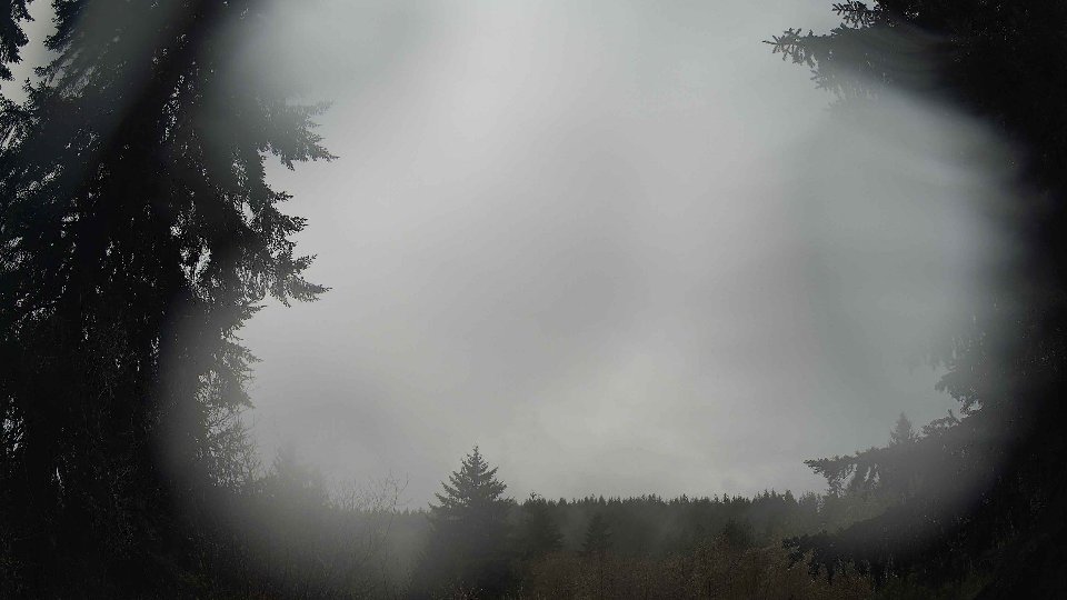 Pacific Northwest skyline timelapse frame from Apr 11th, 2026 at 8:00 AM