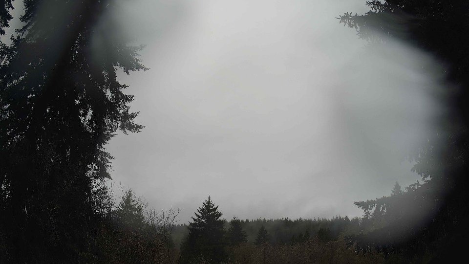Pacific Northwest skyline timelapse frame from Apr 11th, 2026 at 8:15 AM