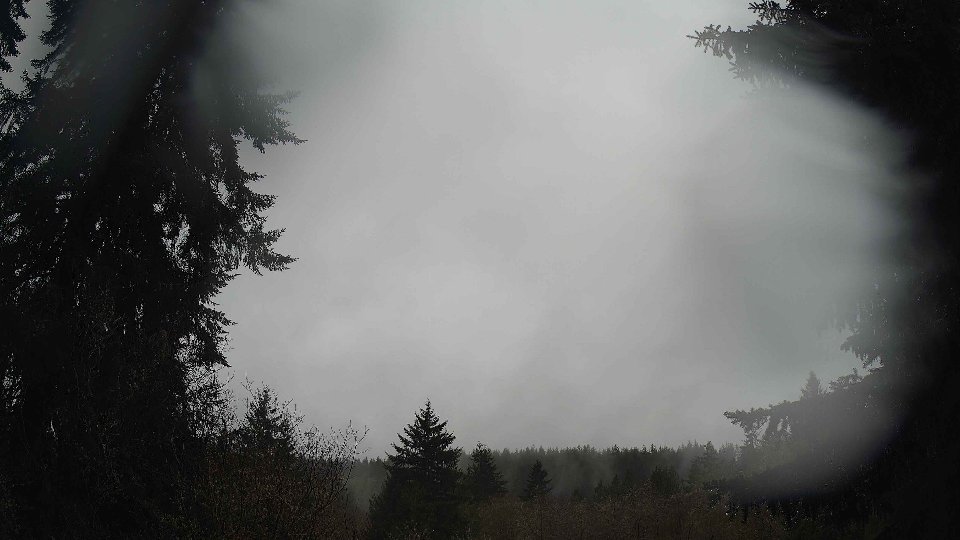 Pacific Northwest skyline timelapse frame from Apr 11th, 2026 at 8:30 AM