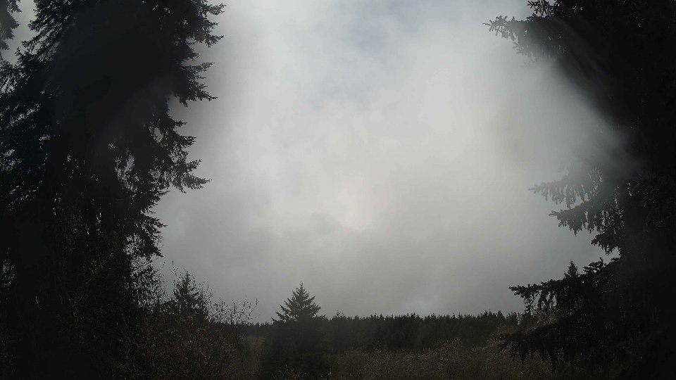 Pacific Northwest skyline timelapse frame from Apr 11th, 2026 at 11:00 AM