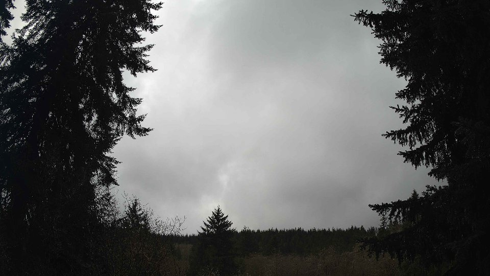 Pacific Northwest skyline timelapse frame from Apr 11th, 2026 at 12:45 PM