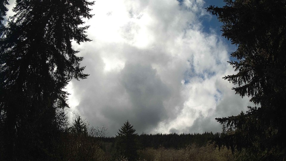 Pacific Northwest skyline timelapse frame from Apr 11th, 2026 at 1:30 PM