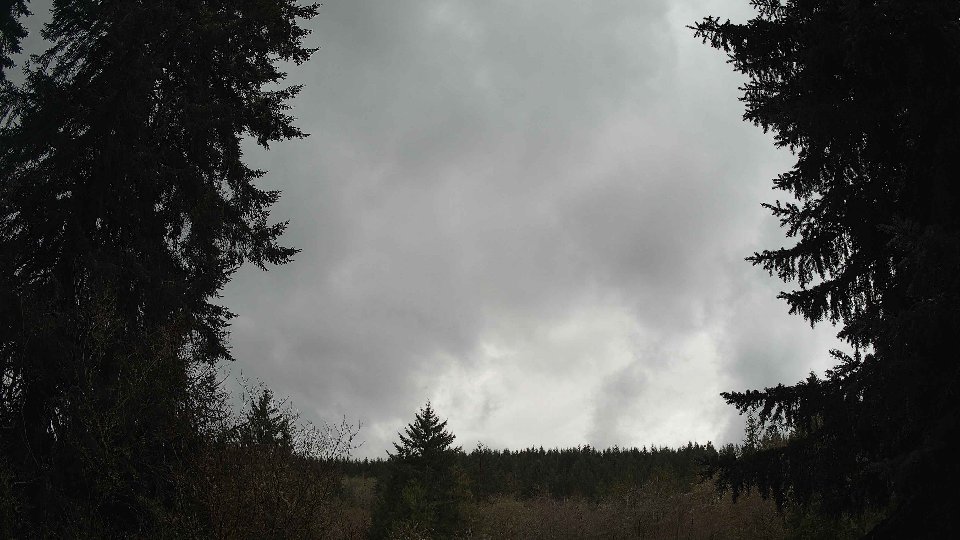Pacific Northwest skyline timelapse frame from Apr 11th, 2026 at 2:00 PM