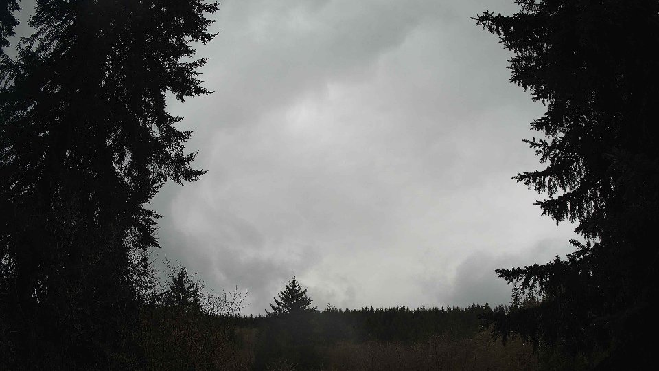 Pacific Northwest skyline timelapse frame from Apr 11th, 2026 at 2:15 PM