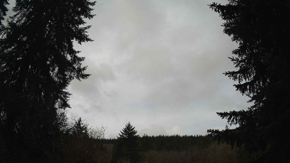 Pacific Northwest skyline timelapse frame from Apr 12th, 2026 at 10:00 AM
