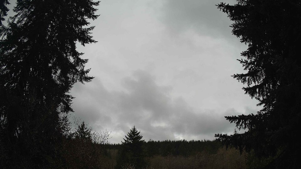 Pacific Northwest skyline timelapse frame from Apr 12th, 2026 at 10:30 AM