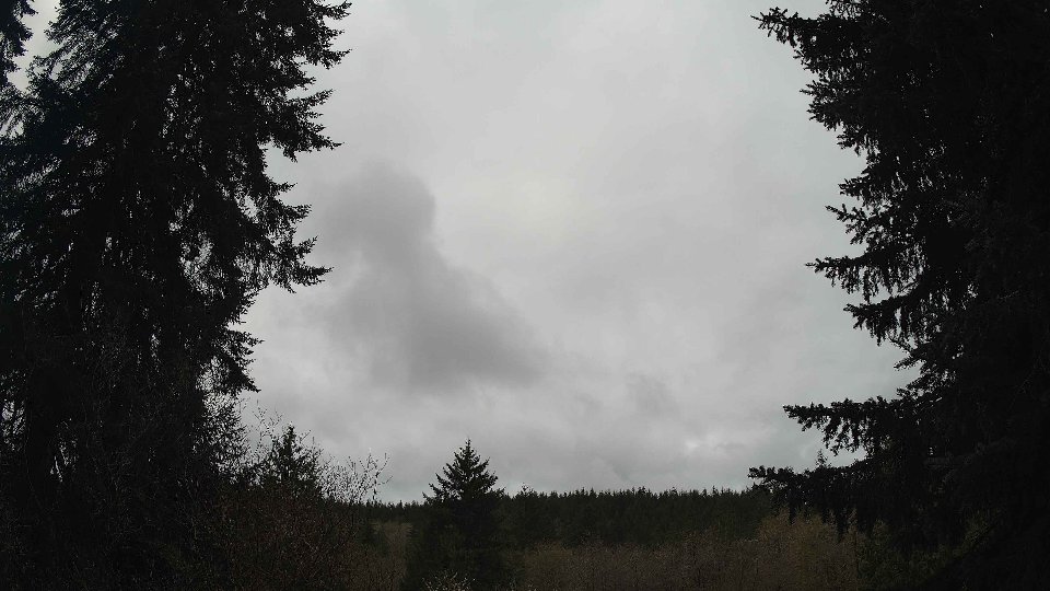 Pacific Northwest skyline timelapse frame from Apr 12th, 2026 at 10:45 AM