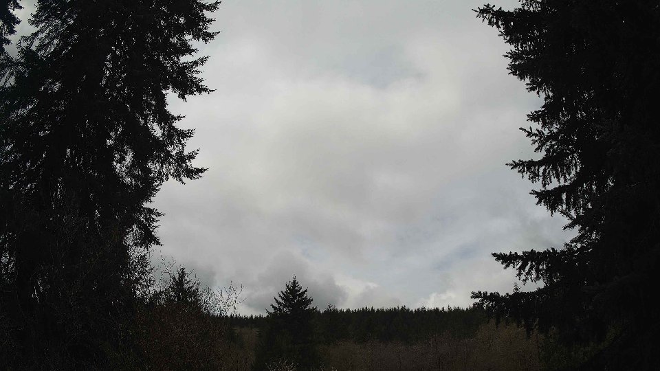 Pacific Northwest skyline timelapse frame from Apr 12th, 2026 at 11:00 AM