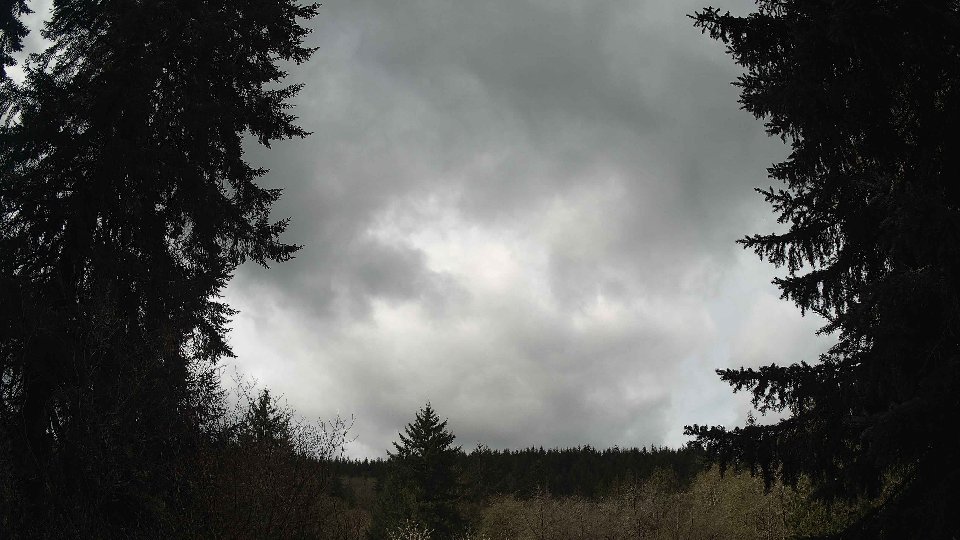 Pacific Northwest skyline timelapse frame from Apr 12th, 2026 at 11:15 AM