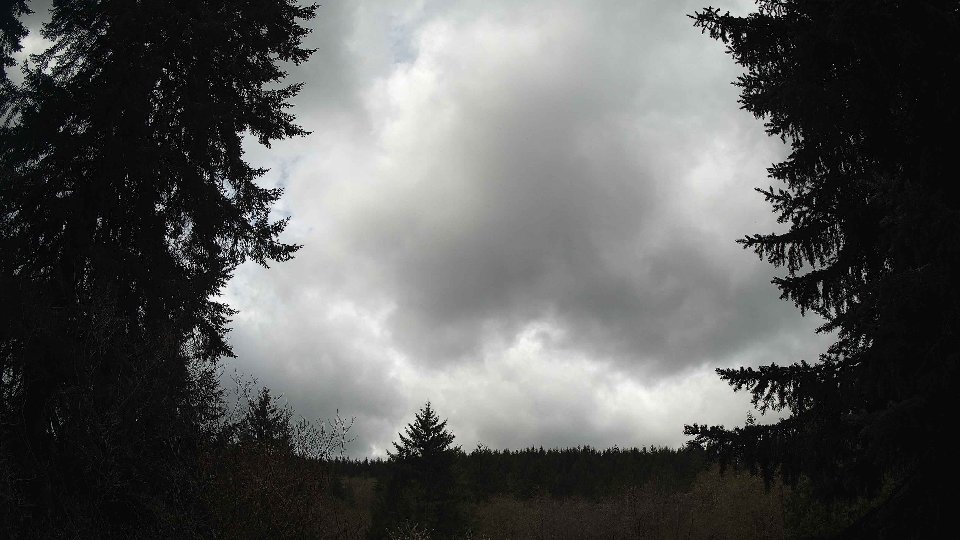 Pacific Northwest skyline timelapse frame from Apr 12th, 2026 at 11:30 AM