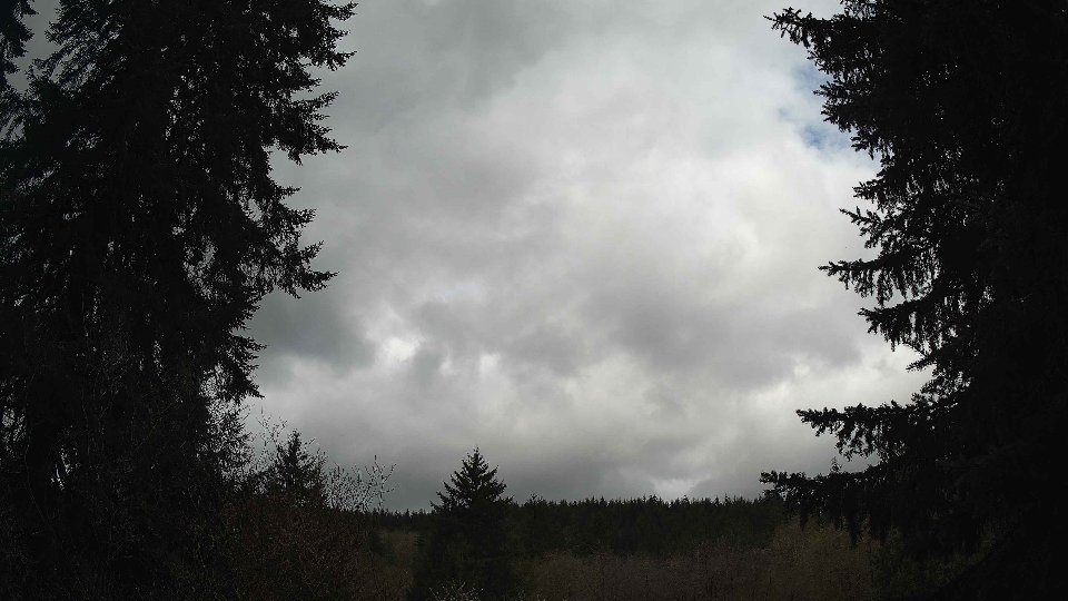 Pacific Northwest skyline timelapse frame from Apr 12th, 2026 at 11:45 AM