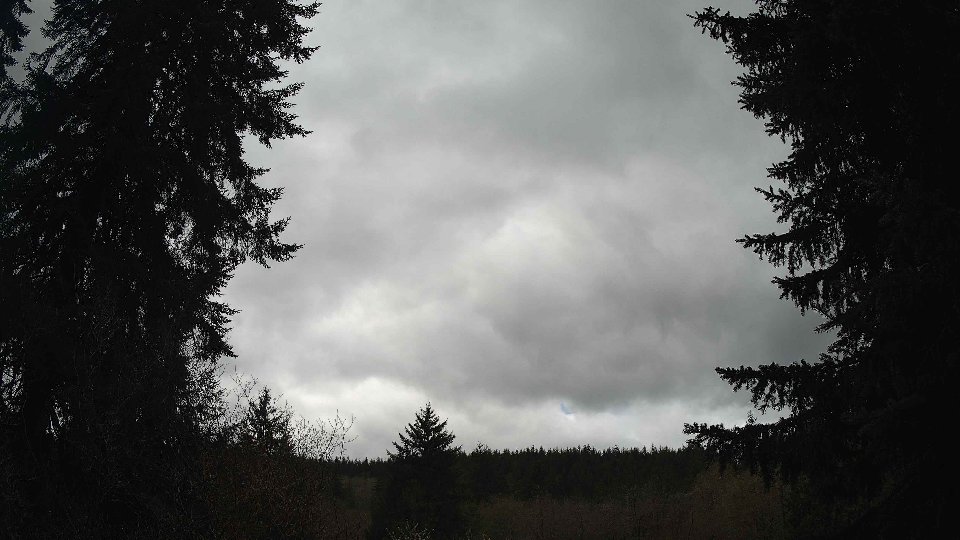 Pacific Northwest skyline timelapse frame from Apr 12th, 2026 at 12:15 PM