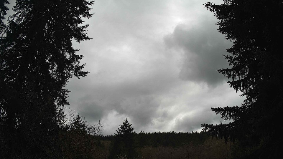 Pacific Northwest skyline timelapse frame from Apr 12th, 2026 at 2:45 PM
