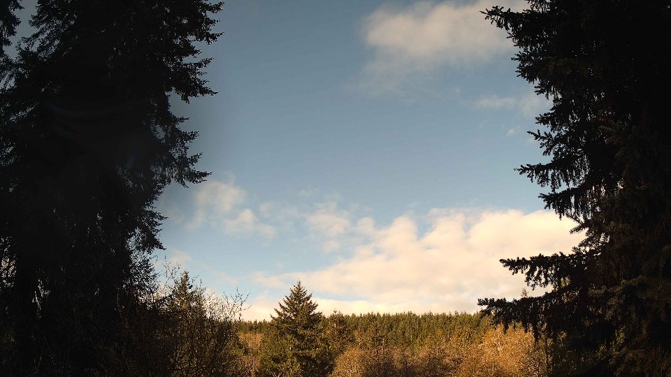 Pacific Northwest skyline timelapse frame from Apr 13th, 2026 at 8:15 AM