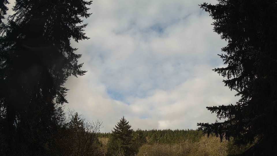 Pacific Northwest skyline timelapse frame from Apr 13th, 2026 at 8:30 AM