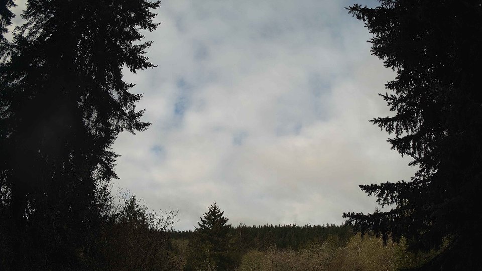 Pacific Northwest skyline timelapse frame from Apr 13th, 2026 at 8:45 AM